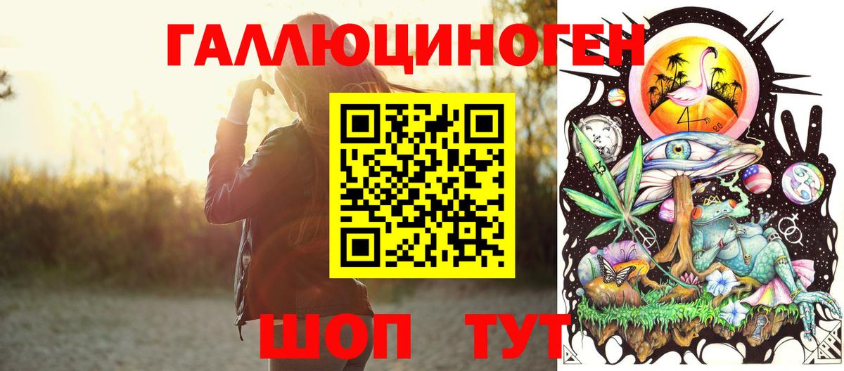 Тамбов  Псилоцибиновые грибы MAGIC MUSHROOMS  Галлюциногенные грибы Cubensis  Вход с VPN 