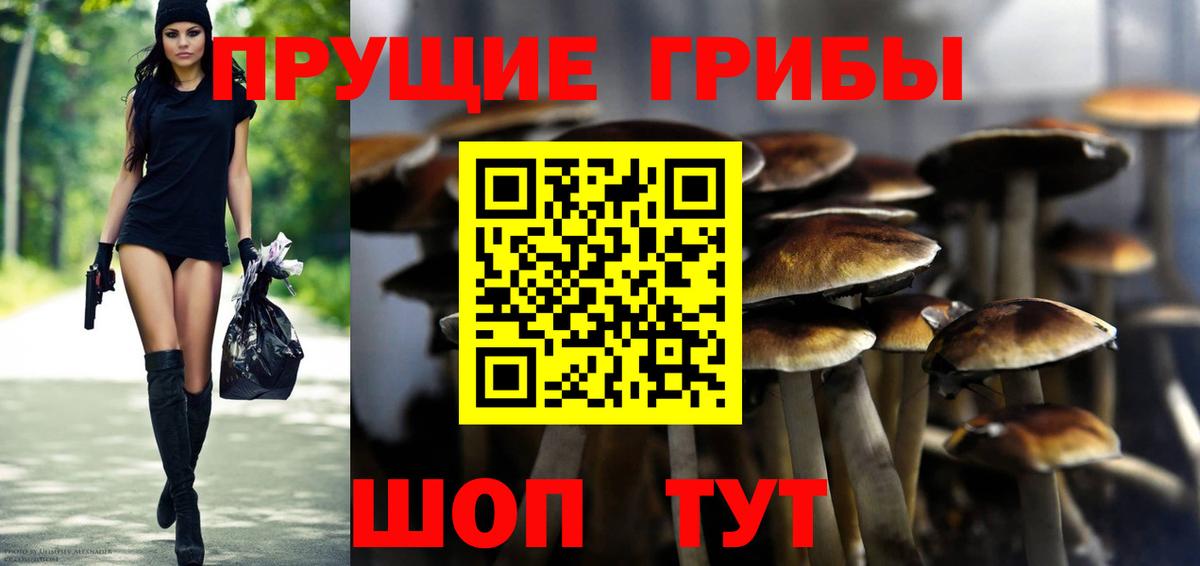 Псилоцибиновые грибы ЛСД Тамбов